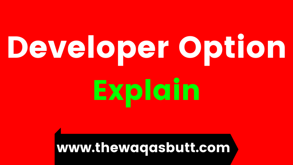 What is Developer Options
