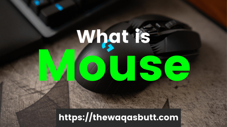 What is a mouse and how many types are there?